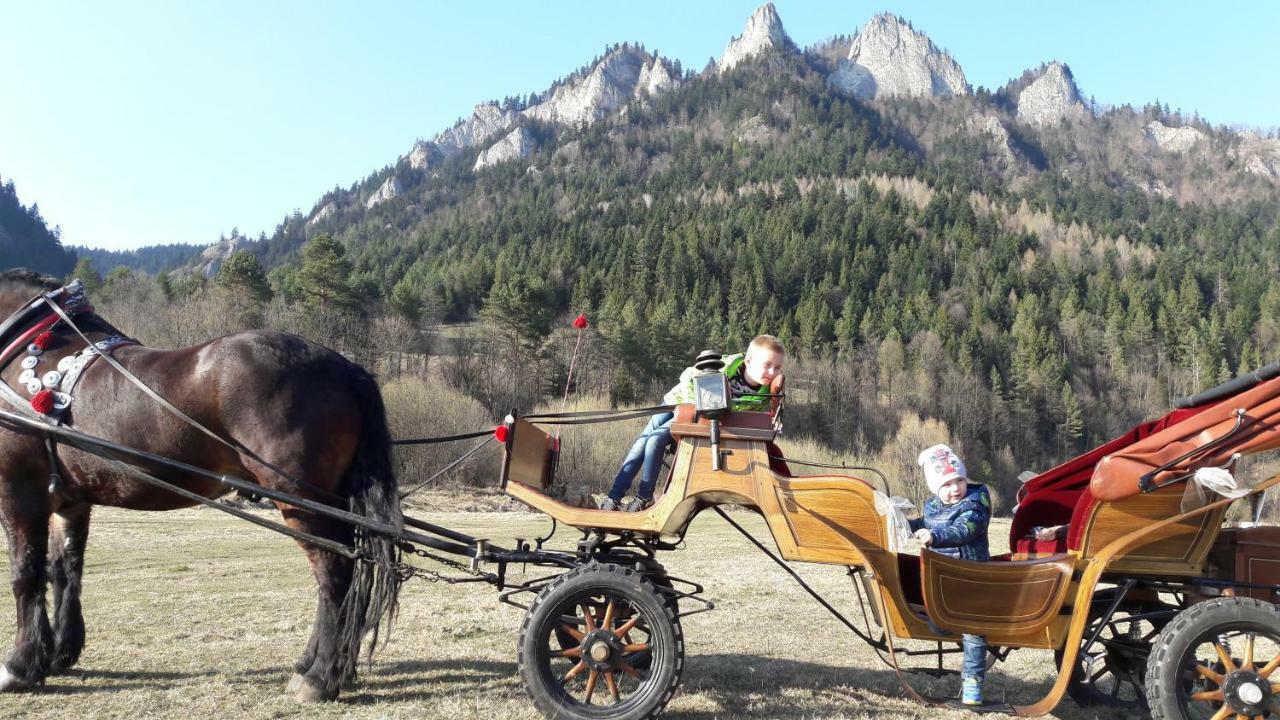 Pokoje U Pitera Sromowce Wyzne Extérieur photo